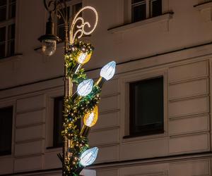 Świąteczne dekoracje na ulicach Warszawy. Iluminacja 2023 - zdjęcia