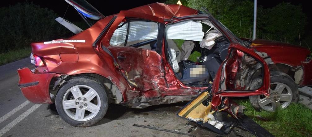 Czołowe zdarzenie samochodów osobowych w pow. zamojskim. 20-latka zginęła na miejscu