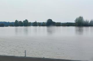 Gigantyczne rozlewisko na Nysie Kłodzkiej
