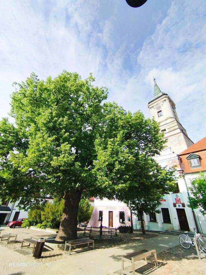 Rynek i mury miejskie w Byczynie w woj. opolskim