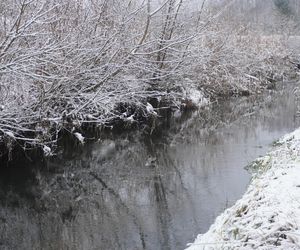 Sypnęło śniegiem! Zobacz zimowe zdjęcia z Kielc i regionu