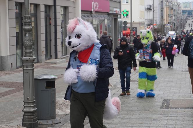 33. Finał WOŚP w Kielcach. Ulica Sienkiewicza