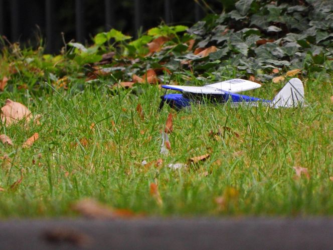 Pilna akcja służb przy Senacie. Na trawniku leżał „bezzałogowy statek powietrzny”