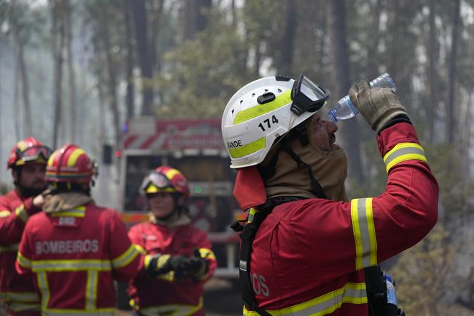  Europejski rekord upałów w Portugalii! Prawie 50 stopni