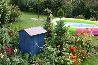 Basen dla dzieci: w ogrodach zdecydowanie królują baseny dmuchane 