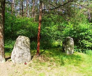 Leśny cmentarz rodu von Ramin
