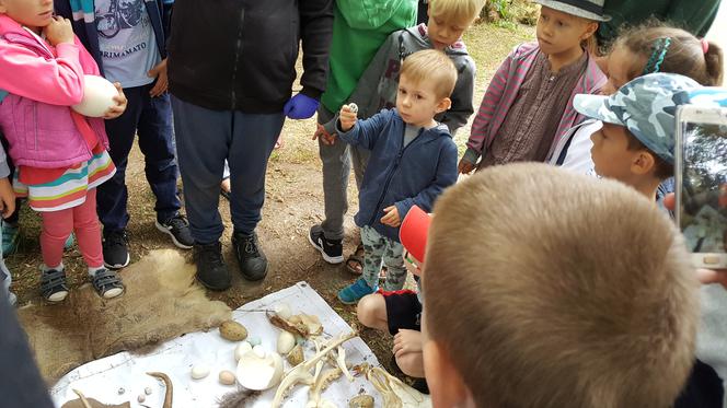 Mali archeolodzy zakasali rękawy i zabrali się do pracy! Co znaleźli w bydgoskim zoo? 