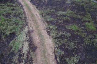 Pożar Biebrzańskiego Parku Narodowego. Spłonęło 13 ha łąk [12/13.06.2023]