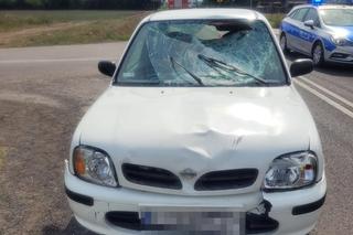 Tragiczne potrącenie rowerzysty pod Inowrocławiem! 80-latek zginął na miejscu 