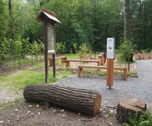 Park Leśny Tetmajera w Bronowicach