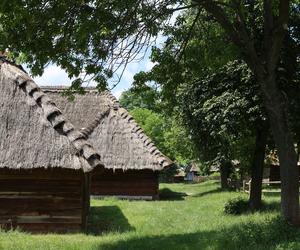 Skansen w Lublinie zachwyca w słoneczny letni dzień!