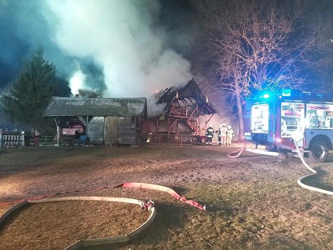 Pożar strusiej fermy w Bukwałdzie koło Olsztyna 