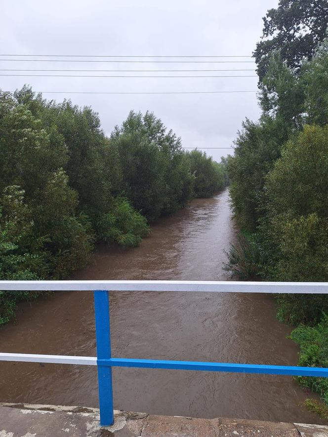 Alarm na Dolnym Śląsku. Ogromna ulewa nad regionem, w Kłodzku apelują o robienie zapasów wody. Relacja live