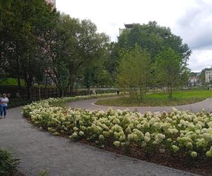 Park centralny w Gdyni. Atrakcje dla dzieci i dorosłych