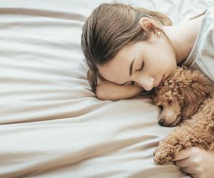 Pies śpi z tobą w łóżku? Ekspertka przestrzega