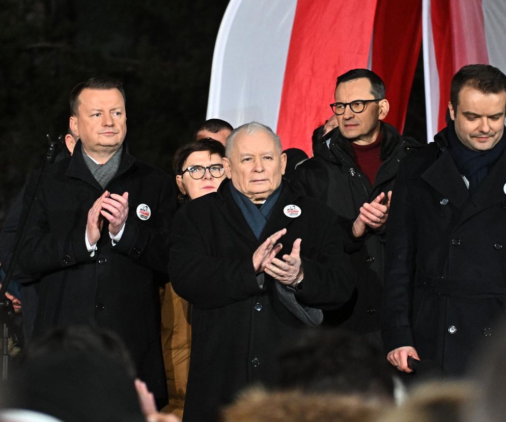 Protest Wolnych Polaków