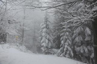 Ostre śnieżyce to nie jedyny problem! Alarm drugiego stopnia w Polsce 