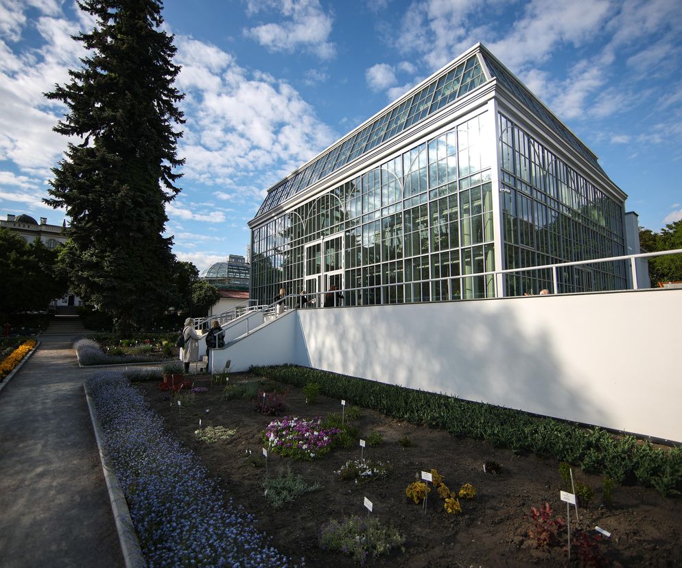 Nowa oranżeria w Ogrodzie Botanicznym UJ. Zastąpiła poprzedniczkę z XIX wieku [GALERIA]