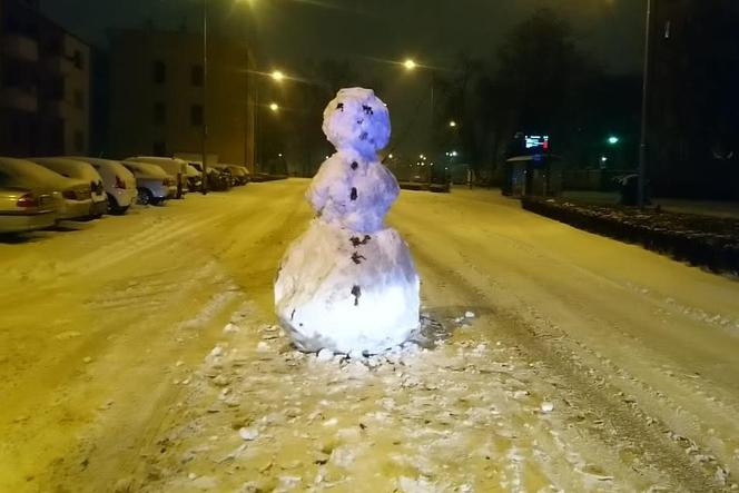 Takiego bałwana na drodze policjanci nie widzieli 