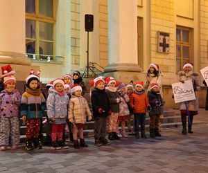 Boże Narodzenie 2024. Światełka oświetliły choinkę na pl. Łokietka w stolicy woj. lubelskiego! Tak się prezentuje