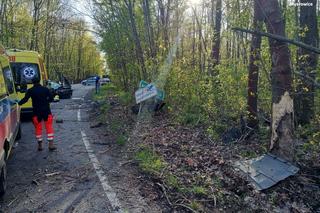 Mysłowice. Pijany Ukrainiec uderzył w drzewo