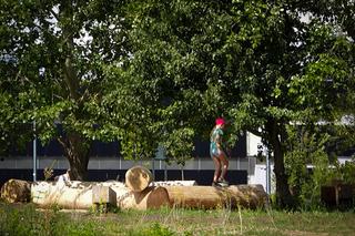 Park im. Cichociemnych Spadochroniarzy AK