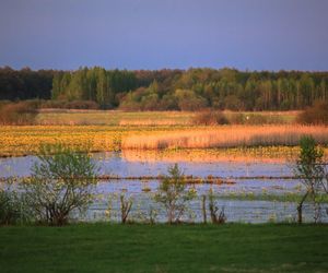 Najlepsze trasy wodne w Podlaskiem na letni weekend 