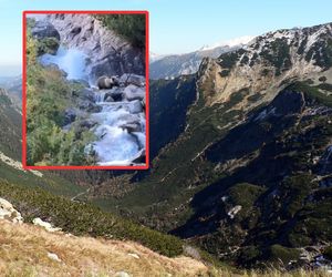 Niedźwiedź rozszarpał jelenia na wodospadzie w Tatrach. Oto natura w najczystszej postaci! [WIDEO]