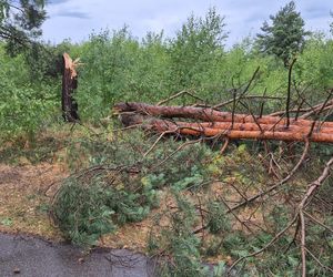 Skutki nawałnic w powiatach brzeskim i tarnowskim z 7 lipca 2025 roku