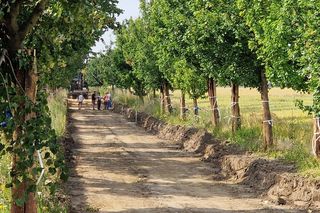 Budowa ścieżki rowerowej wzdłuż Alei Konstytucji 3 Maja