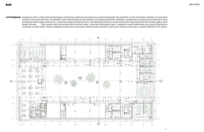 Portfolio - Julia Mącior (wybór)