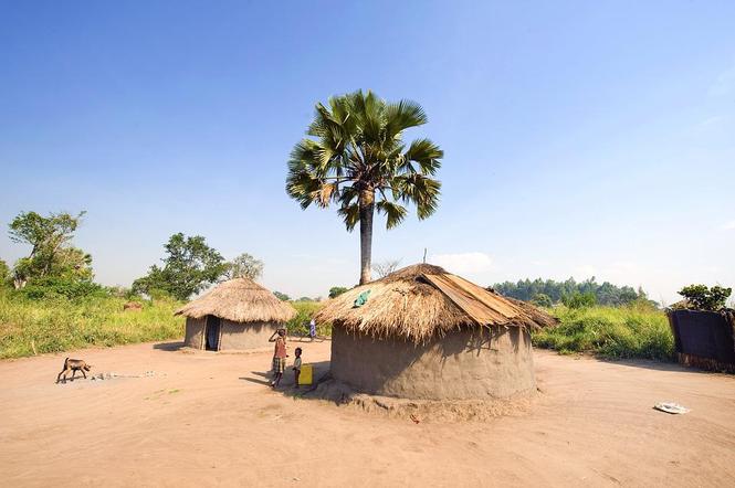 Ekologiczne domy pomogą mieszkańcom Ugandy! Z czego są zbudowane?