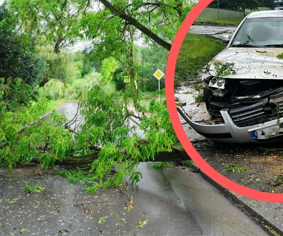 Drzewa spadały na auta. Potężne burze przeszły nad Polską