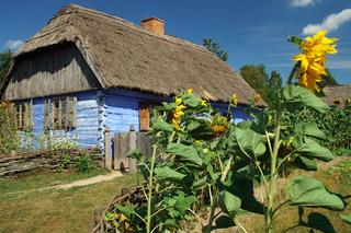 Te wsie w Polsce przeżywają oblężenie. Każdy mieszczuch chciałby tu zamieszkać!