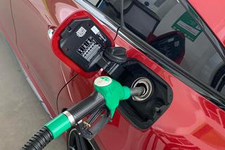 Ceny paliw w poniedziałek, 11 kwietnia. Świąteczne wyjazdy ZDEMOLUJĄ portfele kierowców