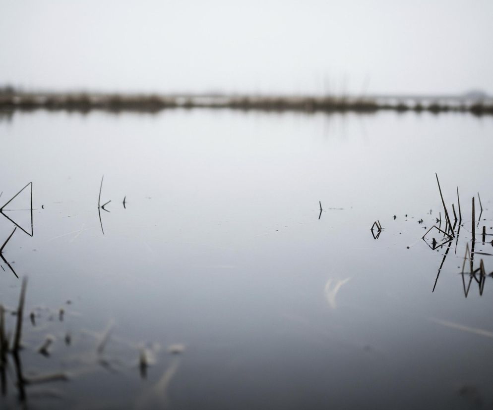 Płytkie wody dominują w centrum kadru, odbijając blade, mleczne niebo, które zajmuje górną jedną trzecią obrazu. Na pierwszym planie i po bokach z wody wystają suche, brązowo-szare źdźbła traw i trzcin, tworząc nieregularne linie i odbicia na lustrzanej powierzchni. Horyzont jest niewyraźny, zaznaczony jedynie rozmytą linią ciemniejszych roślinności, która oddziela wodę od zamglonego tła. Całość utrzymana jest w stonowanych odcieniach szarości, bieli i brązu, dając wrażenie spokojnego, być może pochmurnego dnia.