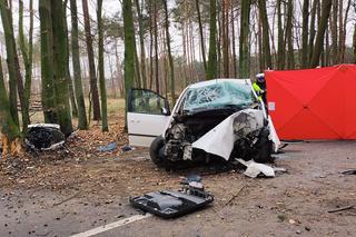 Tragiczny wypadek pod Jarocinem! Nie żyje 29-letni kierowca, a jego żona trafił do szpitala [ZDJĘCIA]