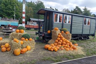 Pumpkin Express wyruszył w trasę! Magiczna stacja kolejowa w Rudach