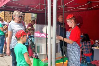 Katowice: Ponad 900 tys. złotych dla Domu Aniołów Stróżów! Za nami akcja Kilometry Dobra [ZDJĘCIA, AUDIO]