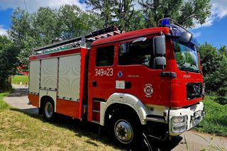 Druhowie z Iwonicza uratowali sarenkę. 