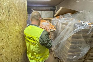 Nielegalna fabryka papierosów zlikwidowana! Milion papierosów w kartonach po pizzy