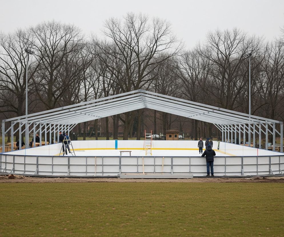 Centralną część obrazu zajmuje duży obiekt o stalowej konstrukcji dachowej w kształcie odwróconej litery V, pod którą znajduje się białe lodowisko z żółtą linią na środku i niebieskim fragmentem linii bramkowej. Wokół lodowiska widać szereg pracowników montujących elementy obiektu, a obok leżą stosy srebrnych konstrukcji. Tło tworzą liczne, nagie drzewa o rozłożystych konarach pod szarym, zachmurzonym niebem, a na pierwszym planie rozciąga się zielony trawnik.