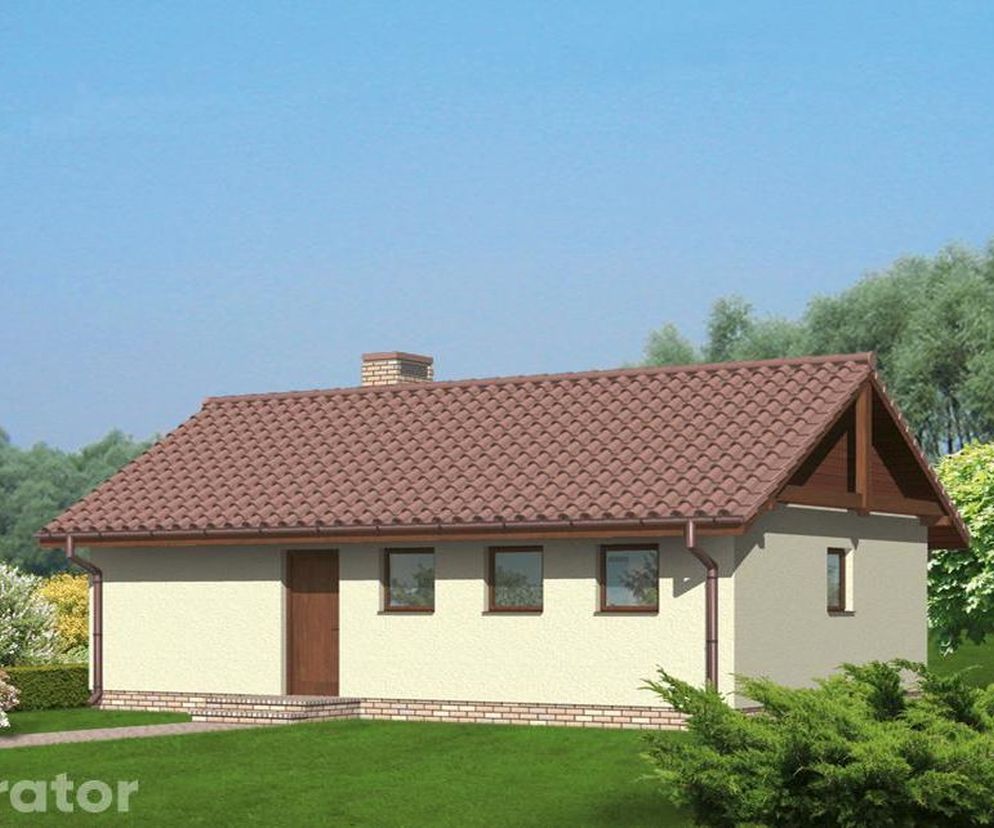 Projekt G15b Budynek gospodarczy