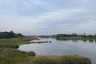 Rzeka Odra w Cigacicach
