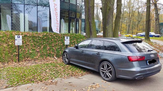 Sytuacja parkingowa przed kompleksem budynków na Muchowcu