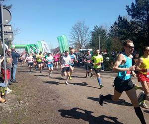 II edycja Bronek Run Forest Edition w Grudziądzu