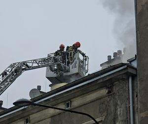 Pożar poddasza w zabytkowej kamienicy na ul.Miedzianej