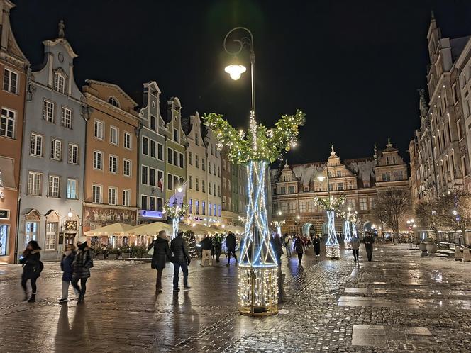 Gdańska choinka rozbłysła. Zobaczcie nasze zdjęcia!