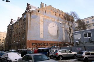 TOTO , fot. Michał Niwicz, 2024