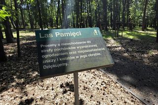 Las pamięci na Junikowie w Poznaniu